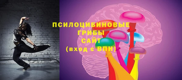 герыч Алексин