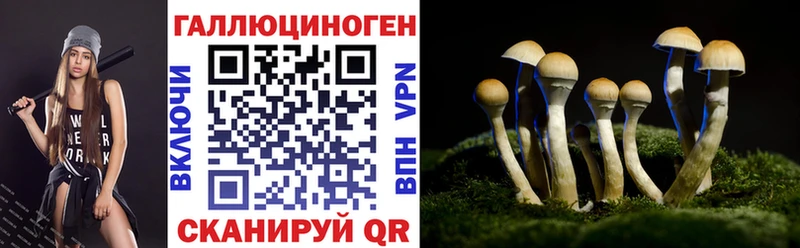 Галлюциногенные грибы Cubensis  mega вход  Краснознаменск  купить наркоту 
