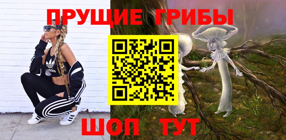 Псилоцибиновые грибы Cubensis Краснознаменск